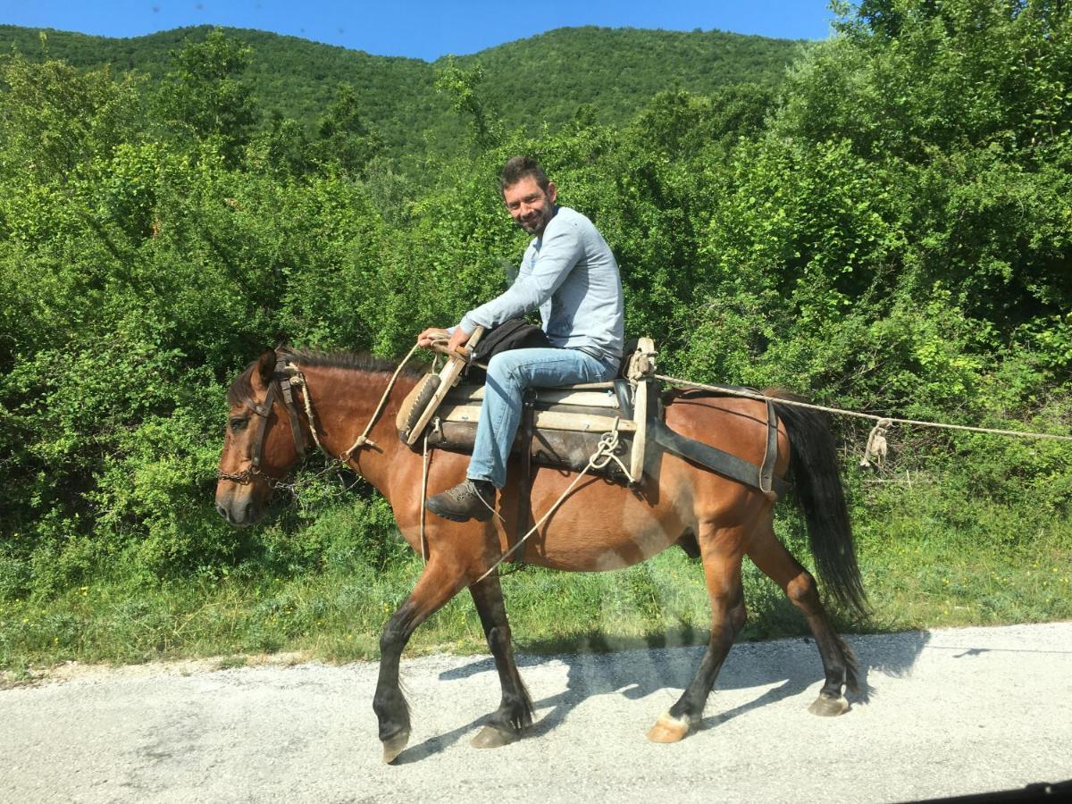 Отель Katikia Zagori Витса Экстерьер фото