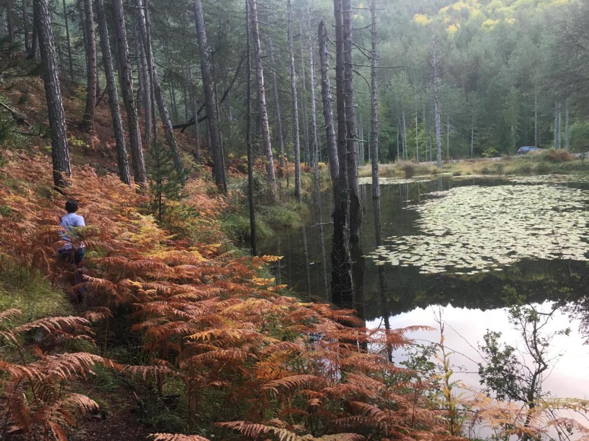 Отель Katikia Zagori Витса Экстерьер фото