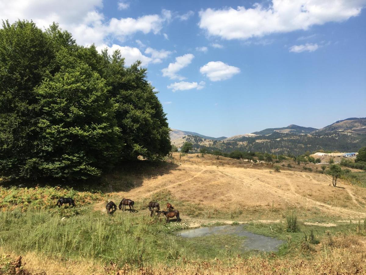 Отель Katikia Zagori Витса Экстерьер фото