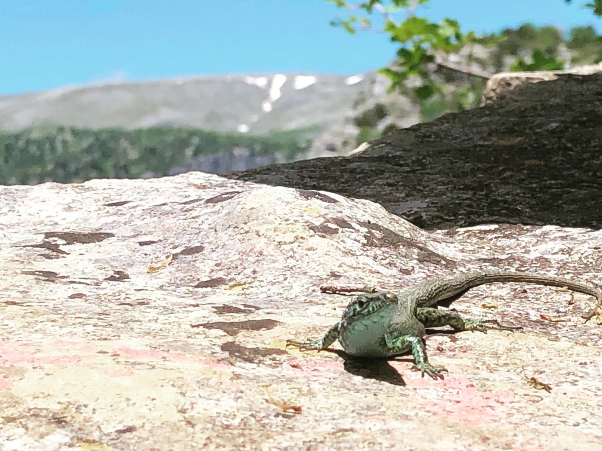 Отель Katikia Zagori Витса Экстерьер фото