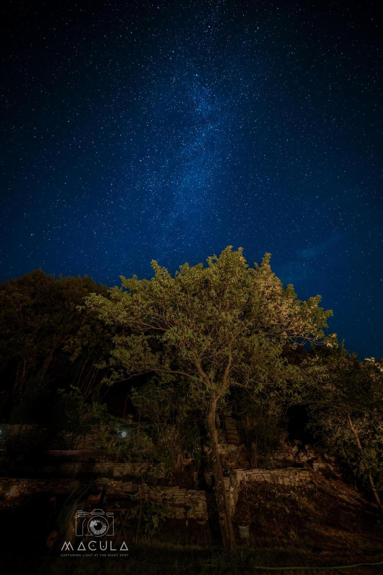 Отель Katikia Zagori Витса Экстерьер фото